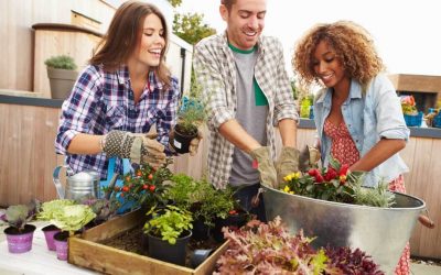 3 Ways to Garden Without a Backyard